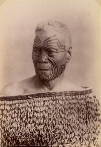 Tuterei Karewa Ngatimaru -heimosta, North Island, Uusi -Seelanti